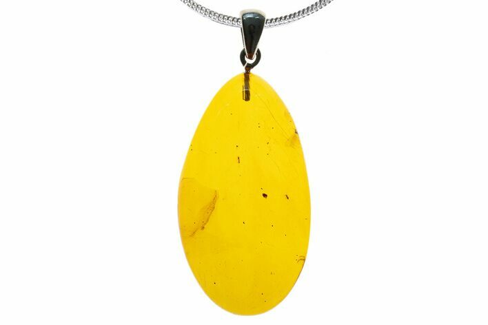 Polished Baltic Amber Pendant (Necklace) - Contains Flies & Mite! #339468